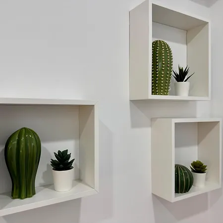 Exclusive - Edifico Paraiso